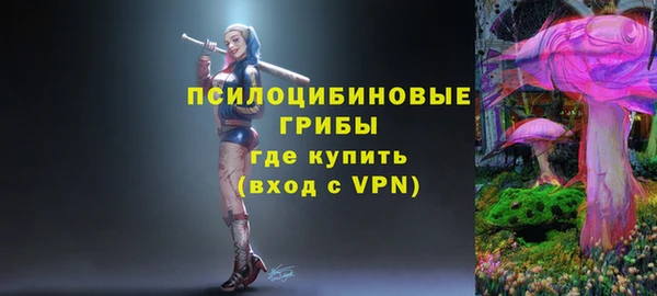герыч Краснослободск